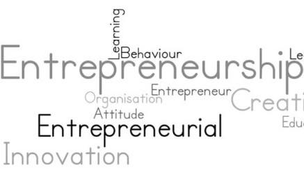 Entrepreneurial Program